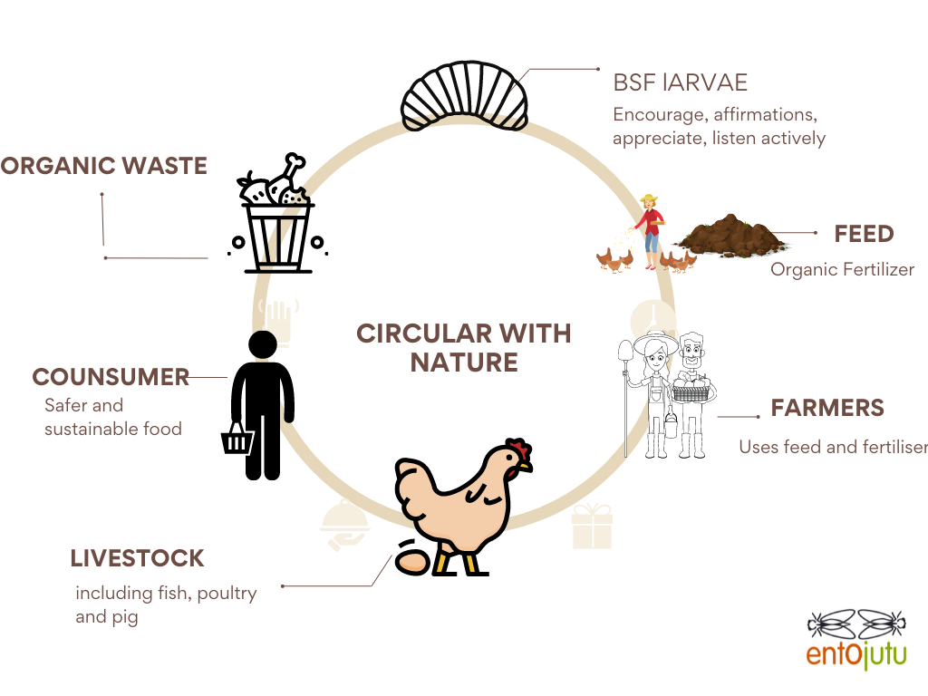 Circularity with the fly